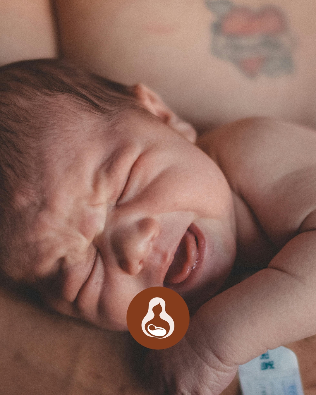 Eva Doula naissance post partum accouchement