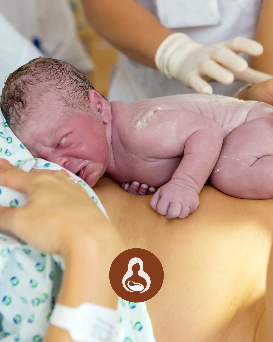 Eva Doula naissance post partum accouchement